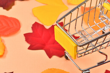 秋の特売のイメージ