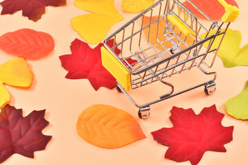 秋の特売のイメージ