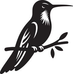 Obraz premium Hummingbird Black Silhouette Vector, Elegant Bird Clipart & Nature-Inspired Design