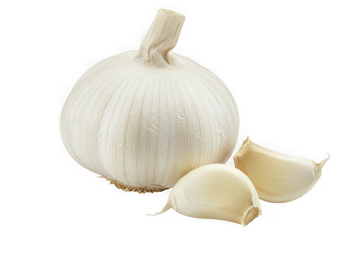 Whole garlic bulb and cloves isolated on transparent background