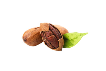 PNG, Pecan nuts, isolated on white background