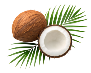 Whole and halved coconut with palm leaf isolated on transparent background