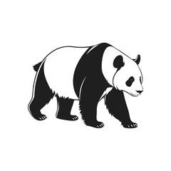 Bear Illustrator art work