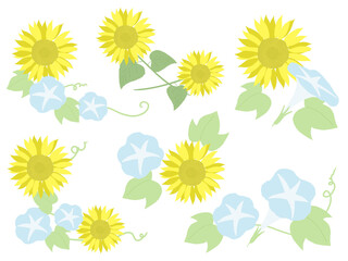 ヒマワリと朝顔のセット