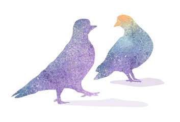 Watercolor creative silhouettes of two birds, collage illustration on a white background. A pair of birds, friends, lovers, a figurative illustration. A romantic happy couple