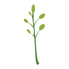 Flat illustration of a thin green stem with small leaves branching out, ideal for fresh botanical themes or minimalist plant graphics.