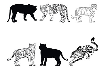 Tigers - wild animals, vector design of tigers isolated on white background