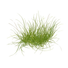 Fototapeta premium Green clump of grass illustration design plant vector