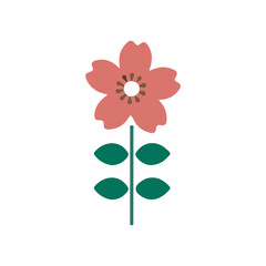 pink flower isolated on white