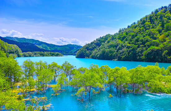 緑の湖面 91cm×122cm 秋扇湖 Images – Browse 206 Stock Photos, Vectors, and Video