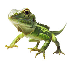 Obraz premium A vibrant green lizard with textured skin and distinct features, poised in a dynamic stance, showcasing its unique characteristics. Png, Transparent background.