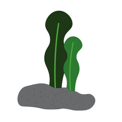 미역 (Seaweed)