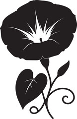 Morning Glory Flower Black Silhouette Vector, Elegant Botanical Clipart & Floral Design