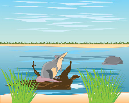 Big river landscape and animal desman on snag