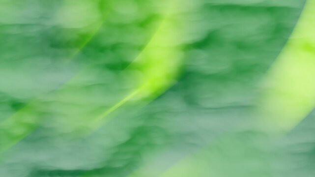 Emerald green solid background Blurred green leaf background ideal for nature concepts, eco-friendly designs, environmental themes, botanical presentations, and organic product advertisements.