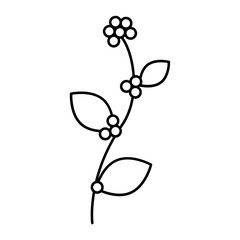 Winter Flower outline icon