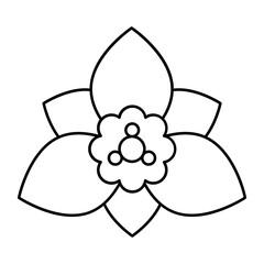 Winter Flower outline icon