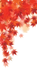 Gordijnen 紅葉　もみじ　秋　背景  © J BOY