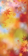 Gordijnen 紅葉　もみじ　秋　背景  © J BOY