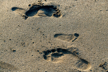 The footprints of a small family a father, mother, and their child were left in the soft sand of the beach, outdoor family concept