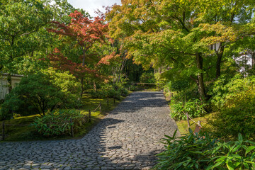 View of the alley in the Koko-en Garden on a sunny autumn day, Himeji, Hyogo Prefecture, Japan