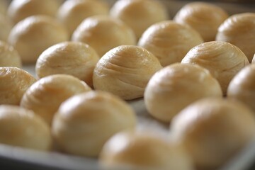 Toasted Mung Bean Cake from the oven. Chinese pastry or moon cake filled with sweet mung bean paste and salted egg yolk. Delicious pastry.
