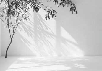 Serene Minimalist Room with Plant and Light Shadows