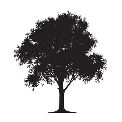 Fototapeta premium Hand Sketched Alder Tree in Silhouette