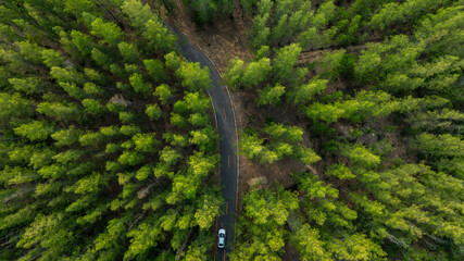 Aerial view of dark green forest road and white electric car Natural landscape and elevated roads Adventure travel and transportation and environmental protection concept	