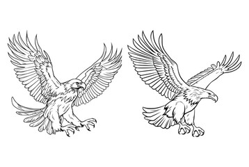 Fototapeta premium Eagle silhouette set vector design
