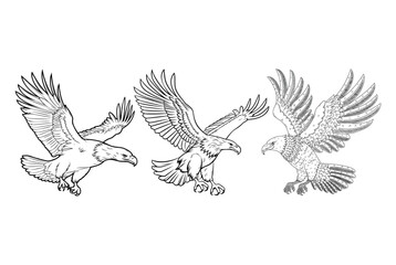 Eagle silhouette set vector design