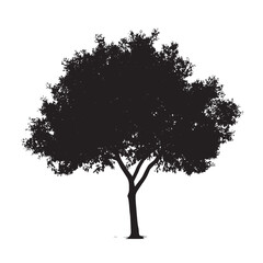 Fototapeta premium Bare Alder Tree Clipart with Shadow Style