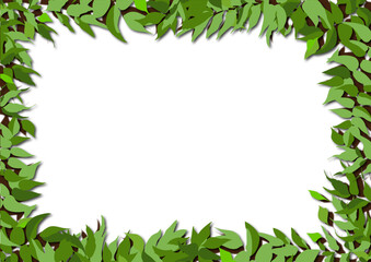 森のフレーム２（夏）