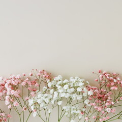 Flowers background template with copy space.Pink and white gypsophila flowers or baby's breath flowers close up frame on light beige background top view . Holiday backdrop.