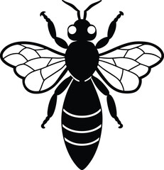 vector illustration of a bee