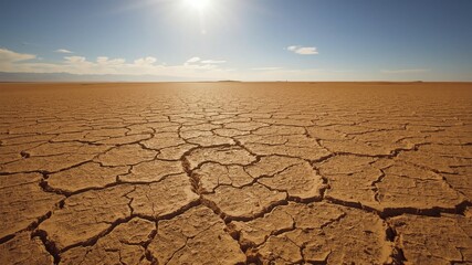 A sweeping, 16:9 aspect ratio landscape of arid desert terrain under the warm, golden glow of intense sunlight, where intricate networks of fine cracks etch the parched, sandy brown soil like a delica