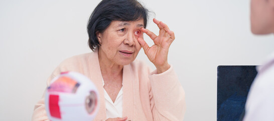 Elderly Patient consulting Doctor to Eye disease, Senior Medical Diagnosis. Anatomy Eye model for Cataract, Glaucoma, Age Related Macular Degeneration, Diabetic Retinopathy, Vitreous, health concept