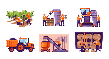 Illustrations showing the process of harvesting grapes from the vineyard to wine making process