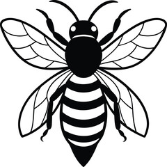 bee vector illustration