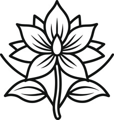 Borage Outline Icon: Herbal Plant

