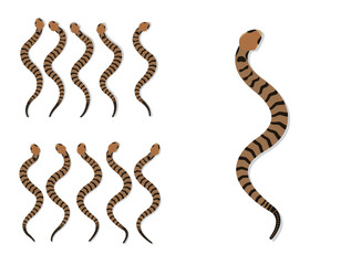 Timber Rattlesnake Animal Animation Sequence Cartoon Vector