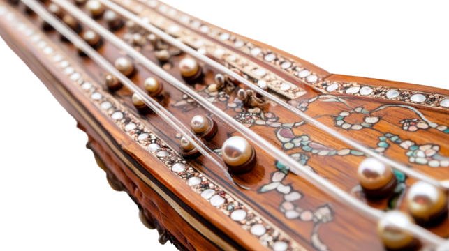 Traditional Indian sitar with inlaid mother of pearl Transparent background, PNG file