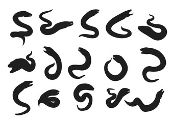 Vector illustration of eel silhouette