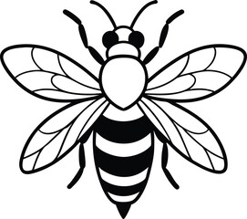 vector illustration of a bee