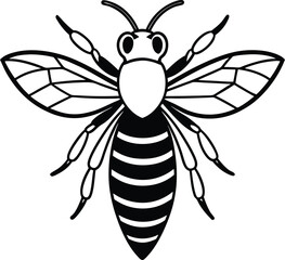 vector illustration of a bee