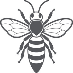 vector illustration of a bee