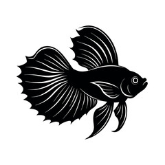 betta vector silhouette