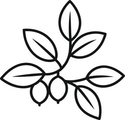 Barberry Outline Icon: Berry Plant

