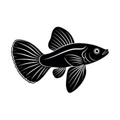 hake vector silhouette