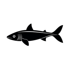 rudd fish vector silhouette